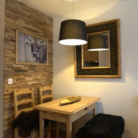 公寓 Superbe Avec Parking Prive *