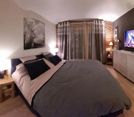 Superbe Avec Parking Prive 公寓