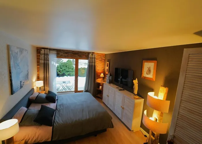 Superbe Avec Parking Prive 克莱恩 蒙塔纳